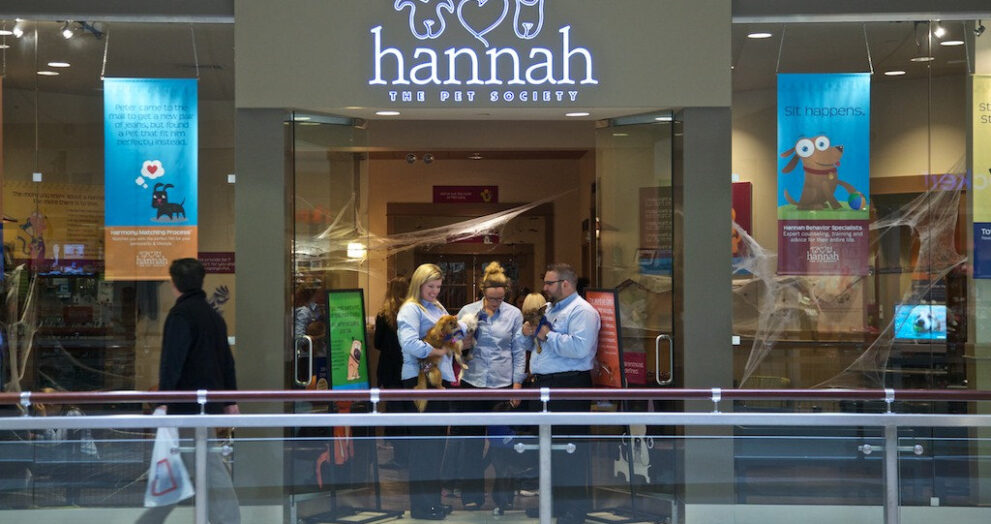 hannah pet society