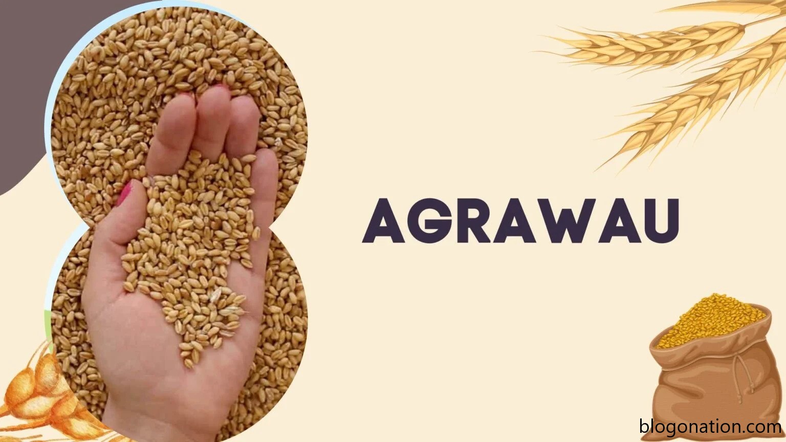 AGRAWAU