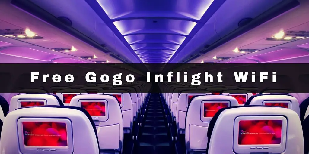 gogo